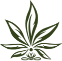 Bio Madre Factory - Cannabis Legale